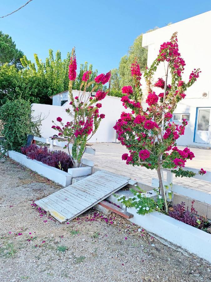Apollonio Suites & Rooms Faliraki Rhodes Екстериор снимка